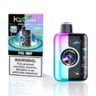 fug-mint-kangvape-speed-beast-x.jpg